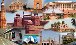 Old and New Delhi Tour
